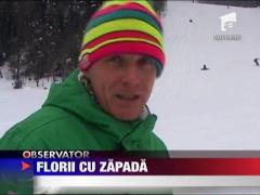 Inghesuiala pe partie