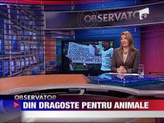 Dragoste pentru animale