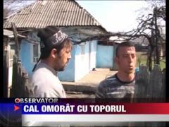 IMAGINI SOCANTE / Cal omorat cu toporul