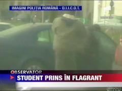 Student moldovean, prins in flagrant cu 1 kg de cannabis