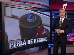 Perla uriasa pentru seici