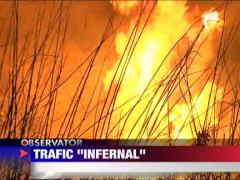 Baia Mare: Incendiu puternic de vegetatie