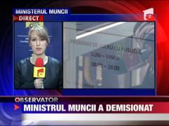 Ministrul Muncii, Ioan Botis a demisionat