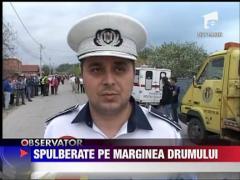 Spulberate pe marginea drumului