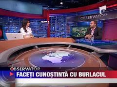 Faceti cunostinta cu Eduard Popescu Strohlen, noul Burlacul