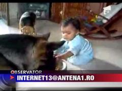 Un copil si un caine se bat pe mancare