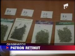 Patron retinut pentru etnobotanice