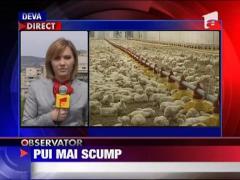Se scumpeste carnea de pui