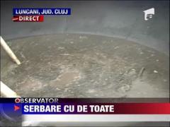 Mare petrecere in judetul Cluj!