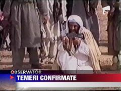 Urmasii lui Bin Laden