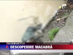 Descoperire macabra in Targoviste