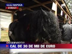 Cal de 30.000 de euro, la targul Expo Agraria