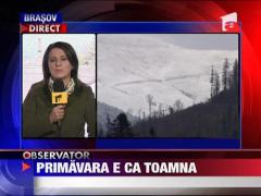 Primavara ca toamna in Romania