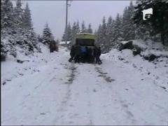 Elevi captivi in nameti