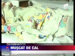 Un tanar de 19 ani a fost muscat de penis de un cal