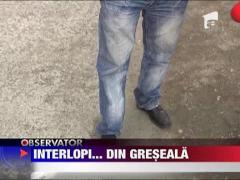 Arestati din greseala