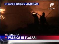 Fabrica in flacari la Suceava