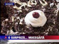 Tort cu mucegai pentru un copil din Brasov