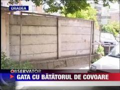 Batatoarele de covoare, ilegale