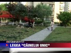 Autoritatile din Shanghai obliga locuitorii sa detina un singur caine