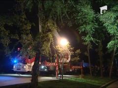 Observator 16 Weekend