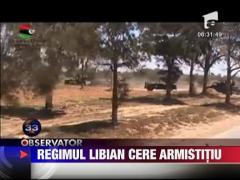 Regimul libian este dispus sa renunte la lupta