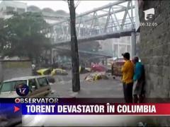 Torent devastator in Columbia