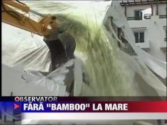 Fara "Bamboo" la mare