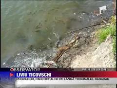 A treia zi, al doilea cadavru gasit pe lacul Razelm