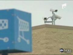 Furia unei mame nebune