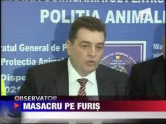 Masacrul cailor din Letea nu a fost oprit