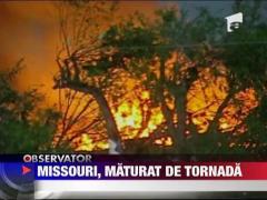 Natura le-a declarat razboi americanilor