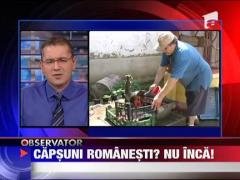 Romania a ramas fara capsunari ‎