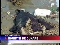 Copii inghititi de Dunare