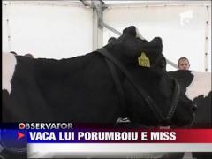 Vaca lui Porumboiu e miss