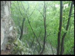 Vremea si-a facut de cap in Bihor!