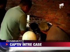 Copil captiv intre doua cladiri