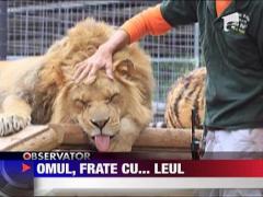 Leii si tigrii, cei mai bun prieteni ai unui american