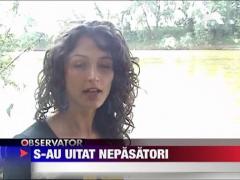 Oamenii legii s-au uitat nepasatori cum o casiera este furata in Satu Mare