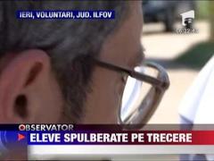Eleve spulberate pe o trecere de pietoni in Voluntari