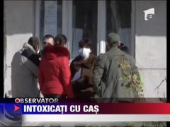 Zeci de galateni, intoxicati cu cas