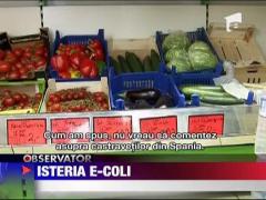 Isteria E-Coli