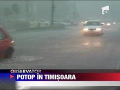 Observator 13 Weekend