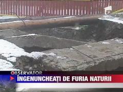 Loviti de furia naturii