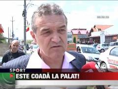 Este coada la Steaua