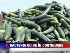 Bacteria E-coli ucide in continuare