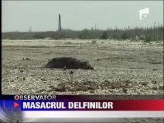 Dezastru ecologic pe litoralul romanesc