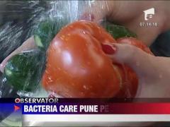 Bacteria E-Coli pune Europa pe jar