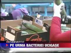 Spania vrea despagubiri dupa isteria din jurul virusului E-coli