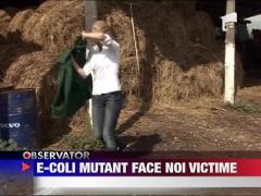 OMS: O noua tulpina de E.Coli in Europa, contagioasa si toxica ‎